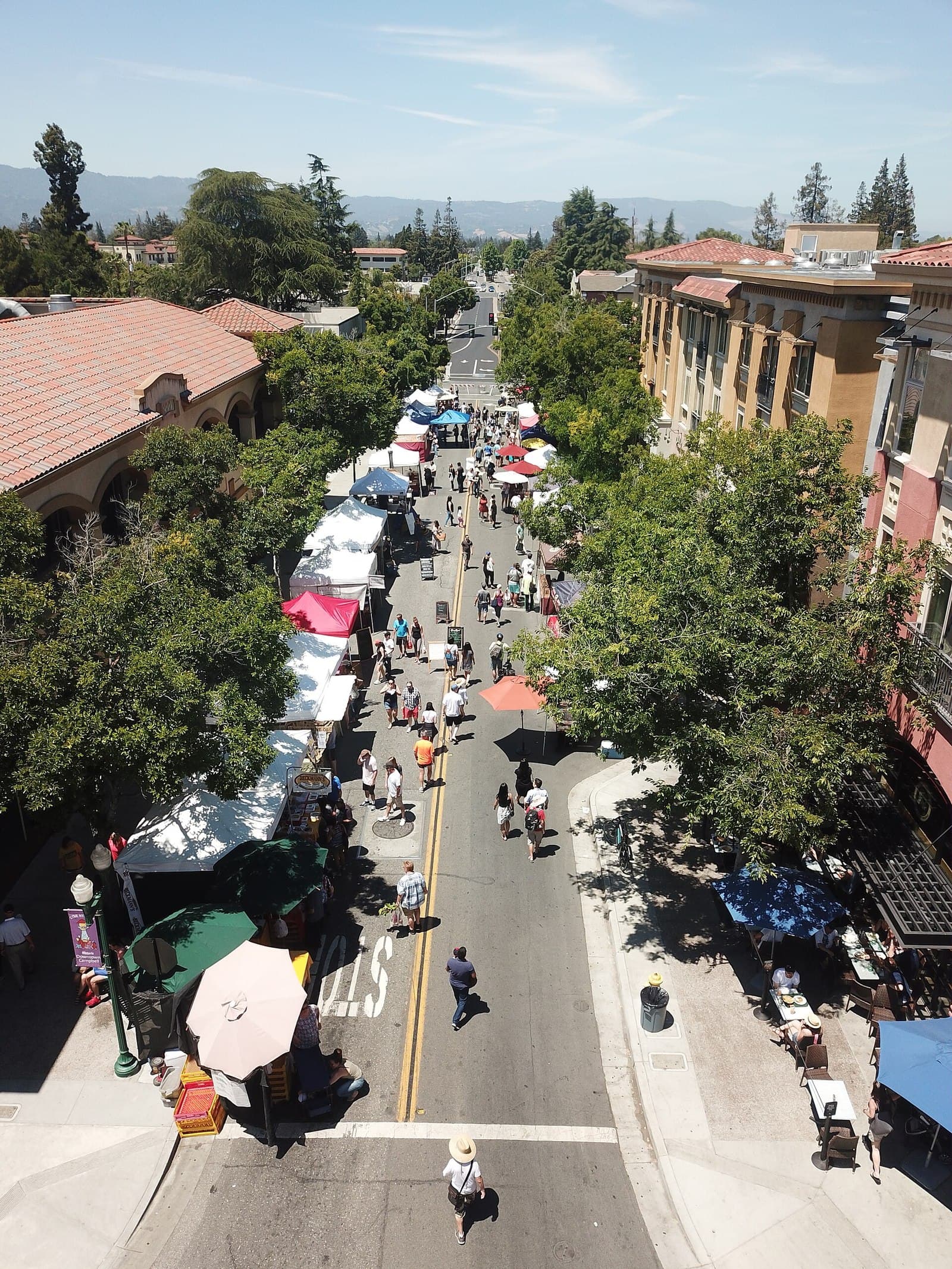 Aerial view of the Campbell Farmers' Market, with vendor tents lining a tree-shaded downtown street